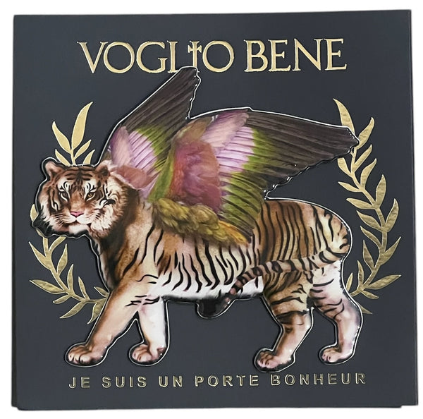PIN'S  SAN MARCO VOGLIO BENE