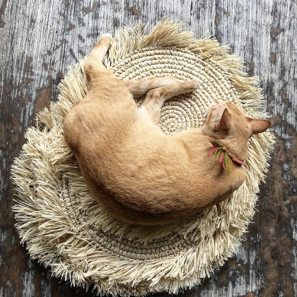SET DE TABLE ROND EN CROCHET BAZAR BIZAR